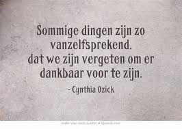 Dag 163 Dankbaarheid,s lijstje.