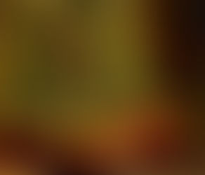 Dag 338 Eerste kerstdag.