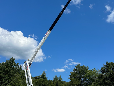 The newest member of our fleet! The Dino 92 RXT