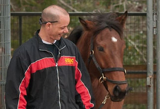 saratoga warhorse2.JPG