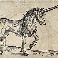 Free Domain Manuscript Unicorn.webp