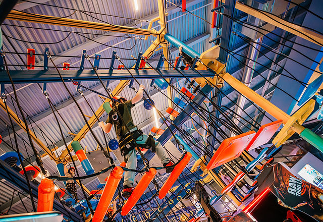 ルーニーテューンズ トイ ディスプレイ ルーニーテューンズ トイ