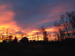 sunset