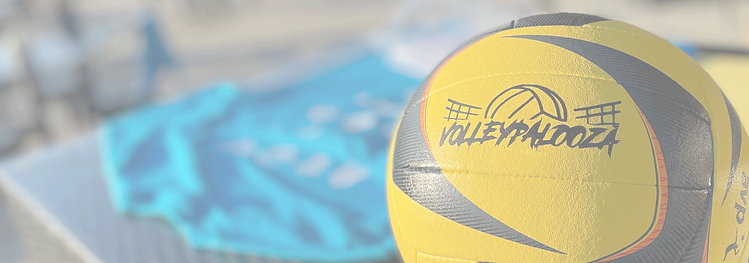 Volleyball_edited_edited_edited.png