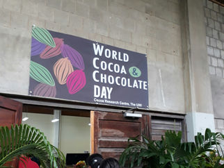 3 Health Benefits of Cocoa