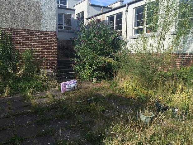 Carolside Primary Secret Garden