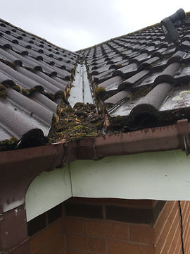 Gutters needing cleaned