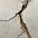 Patologia das Estruturas de Concreto