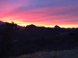 Melissa Marks, Ronald Reagan Ranch
