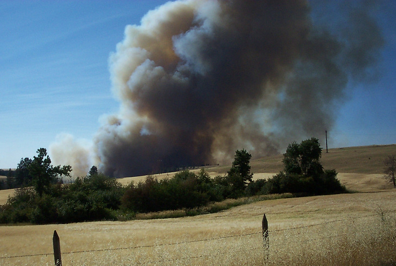 Field on fire during the Hart rd fire of 2016