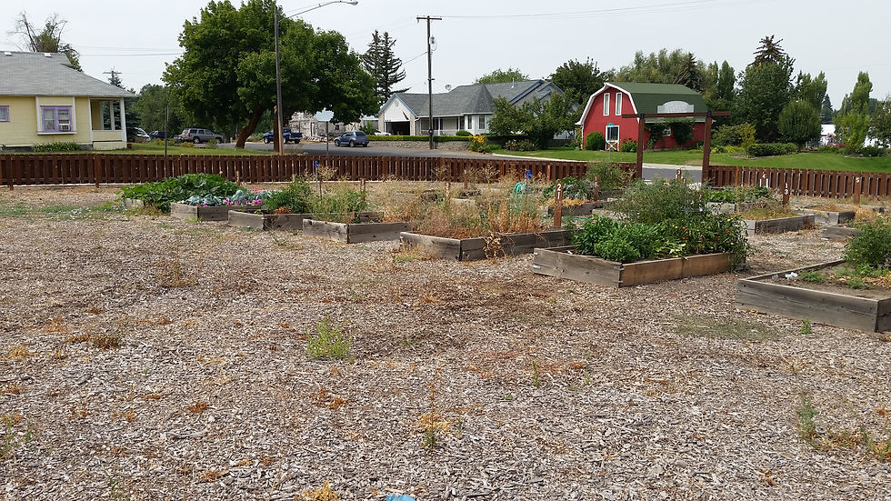 Garden backside