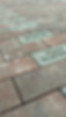 Engraved bricks in Community garden - $100 each for fund raiser