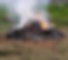 Burning slash pile