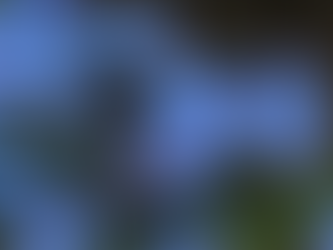 Betsey, Lucy, and Anarcha Days of Recognition