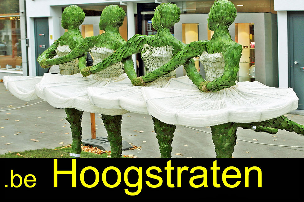 .hoogstraten creaties.jpg