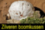 zilveren boomkussen