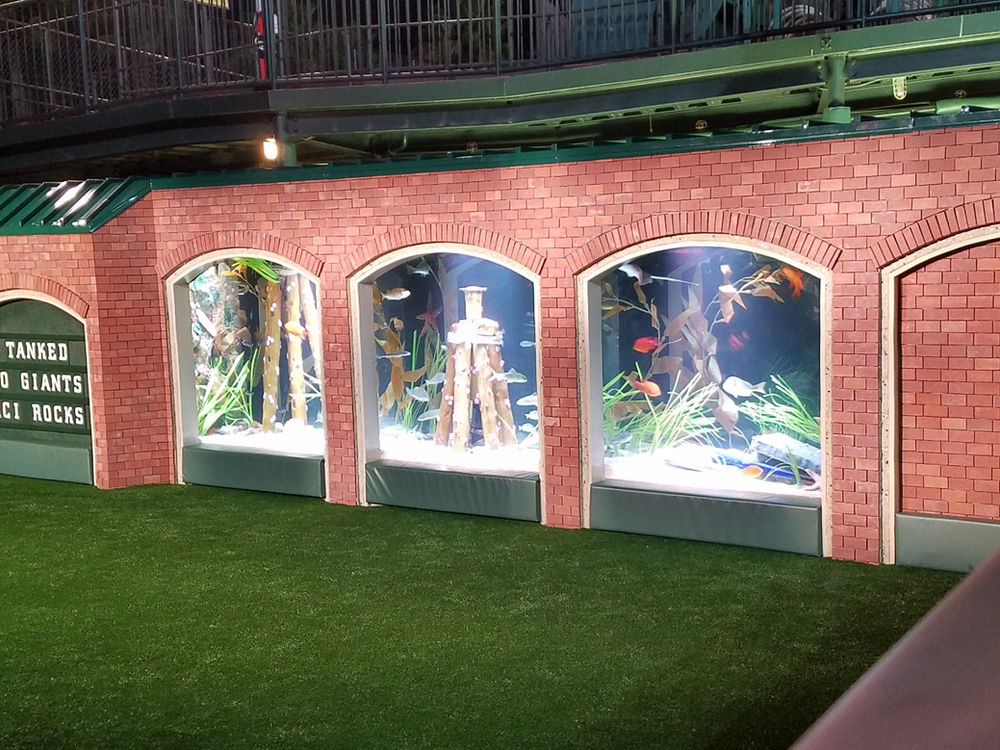 Animal Planet's Tanked! SF Giants 1300g Aquarium - File