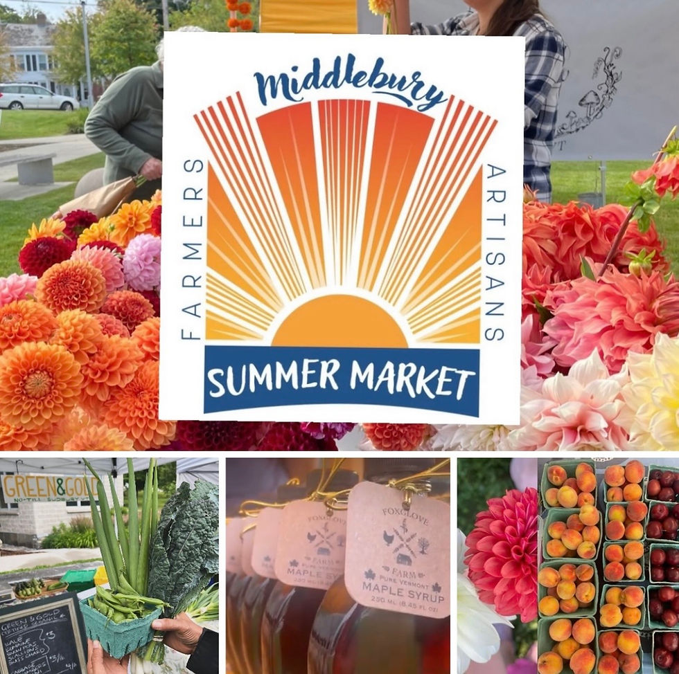 Midd Summer Markets (MSM) Summer Series