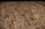 ANCIENT WOOD