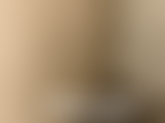 Understanding Mold: Risks, Precautions & Professional Solutions