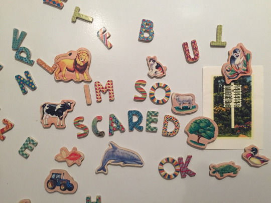spelling magnets