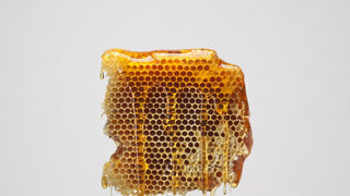 Sticky Sweet