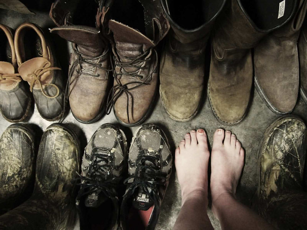 shoes