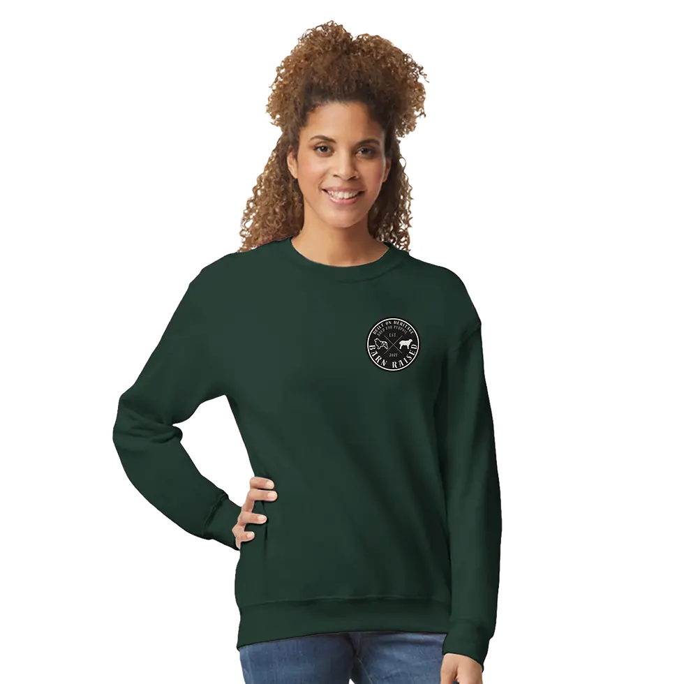 Thumbnail: Faith • Family • Fresh Air – Barn Raised Crewneck Sweatshirt | Gildan® 18000