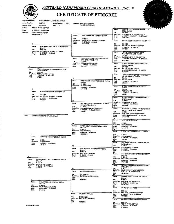 Darby ASCA pedigree.jpg