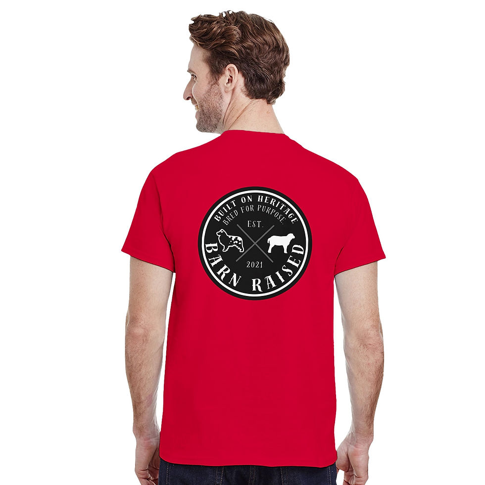 Thumbnail: Barn Raised Logo Tee | Heavyweight Crewneck| Gildan® 5000