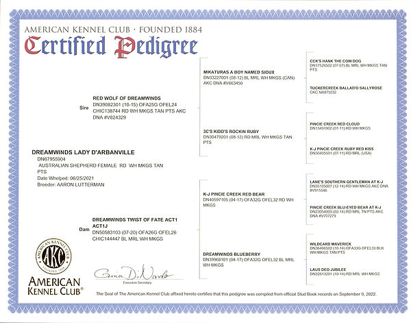 Darby AKC pedigree.jpg