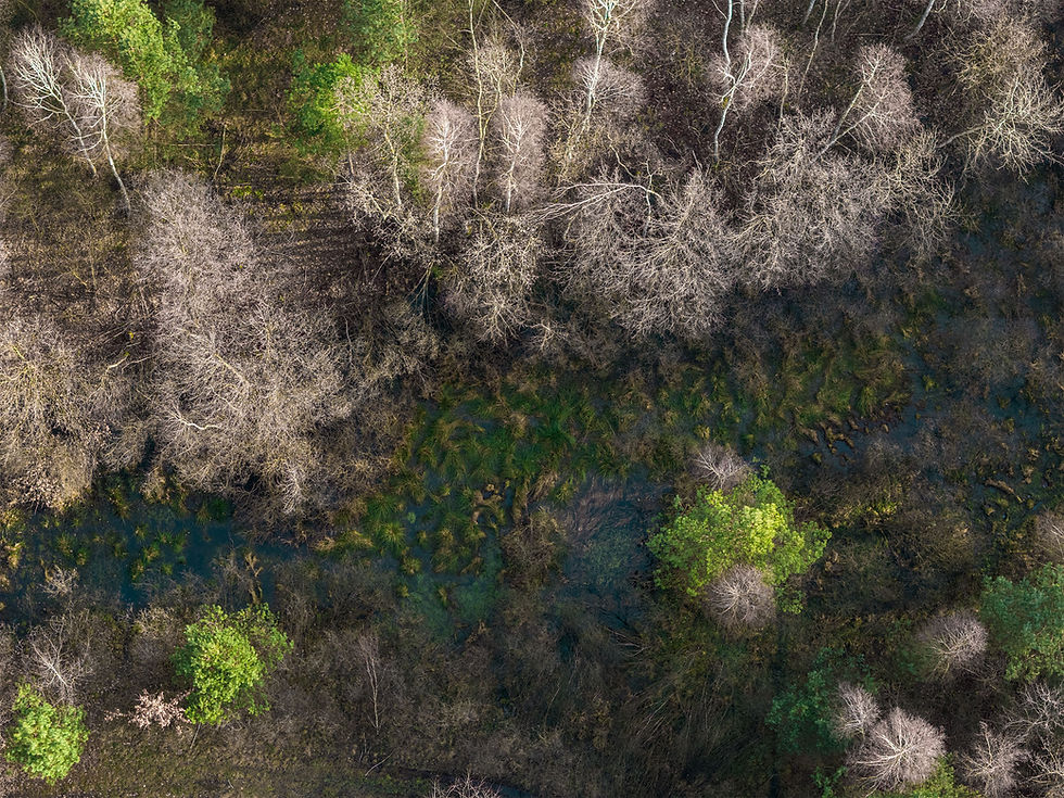 DJI_20240225083405_0072_D-HDR.jpg