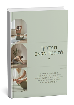 המדריך להיפטר מכאב - מוקאפ ספר.png