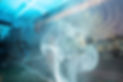 DSC05799_edited.jpg