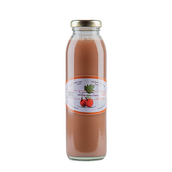 Wild Grape Juice Berry Botanical Ontario