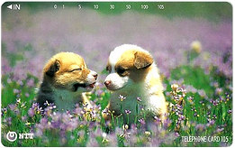 テレホンカード子犬