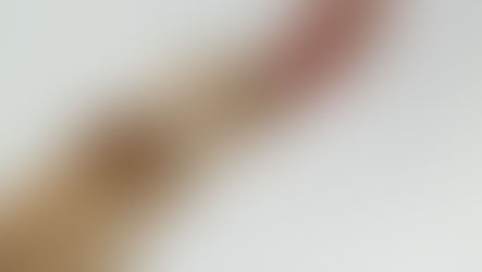 Alimentos perigosos para seus bichinhos de estimação