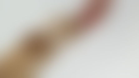 Alimentos perigosos para seus bichinhos de estimação