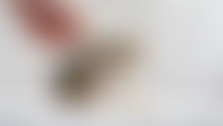 Por que meu gato me morde?