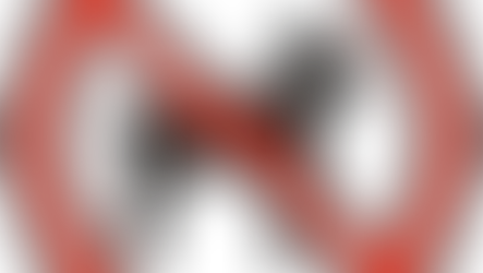 Mundo animal: Brinquedos perigosos