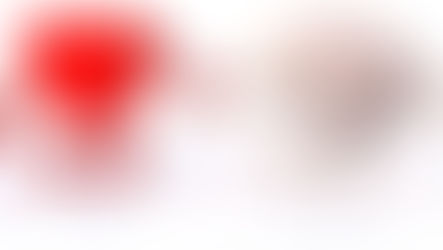 E você segue seu coração?