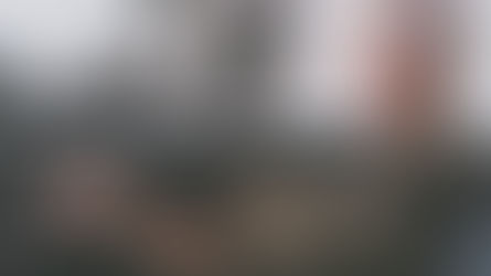 Grisalhos - O adeus a coloração permanente