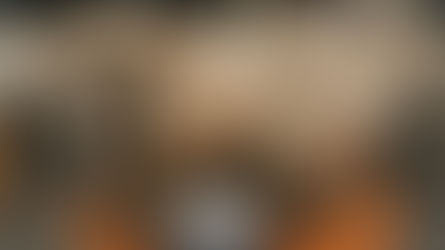 Mundo Pet: Cuidado com a balança