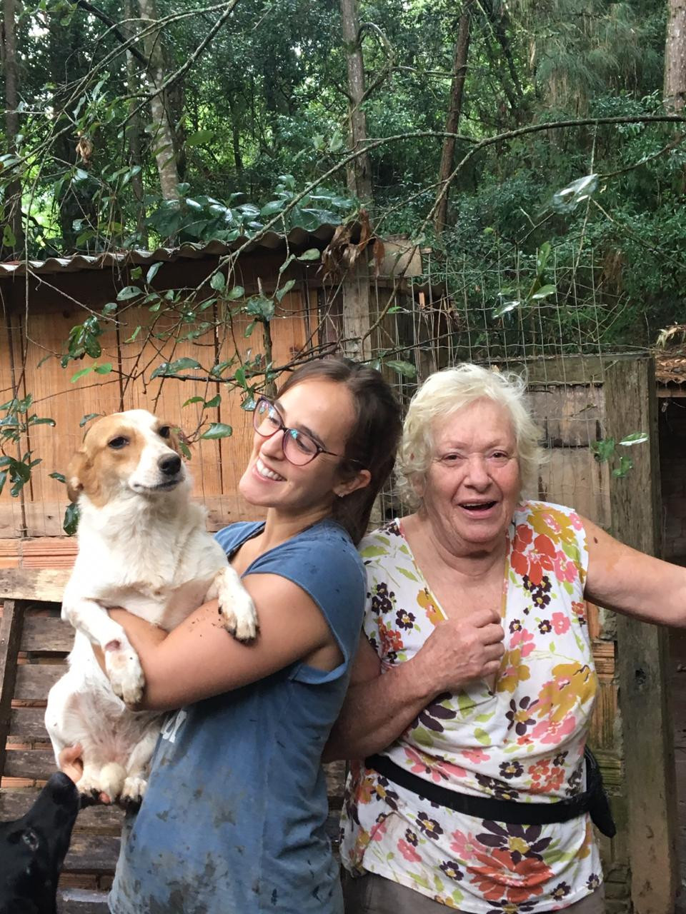 projeto mãos e patas