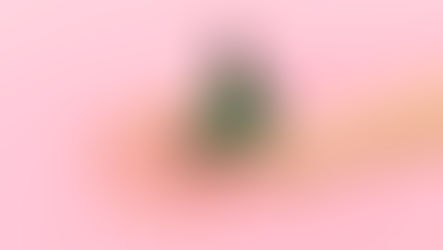 A borboleta e o enfermeiro