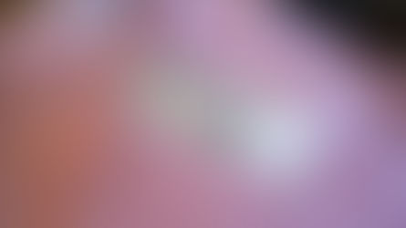 Indústrias do vestuário lançam campanha para incentivar consumo de marcas locais