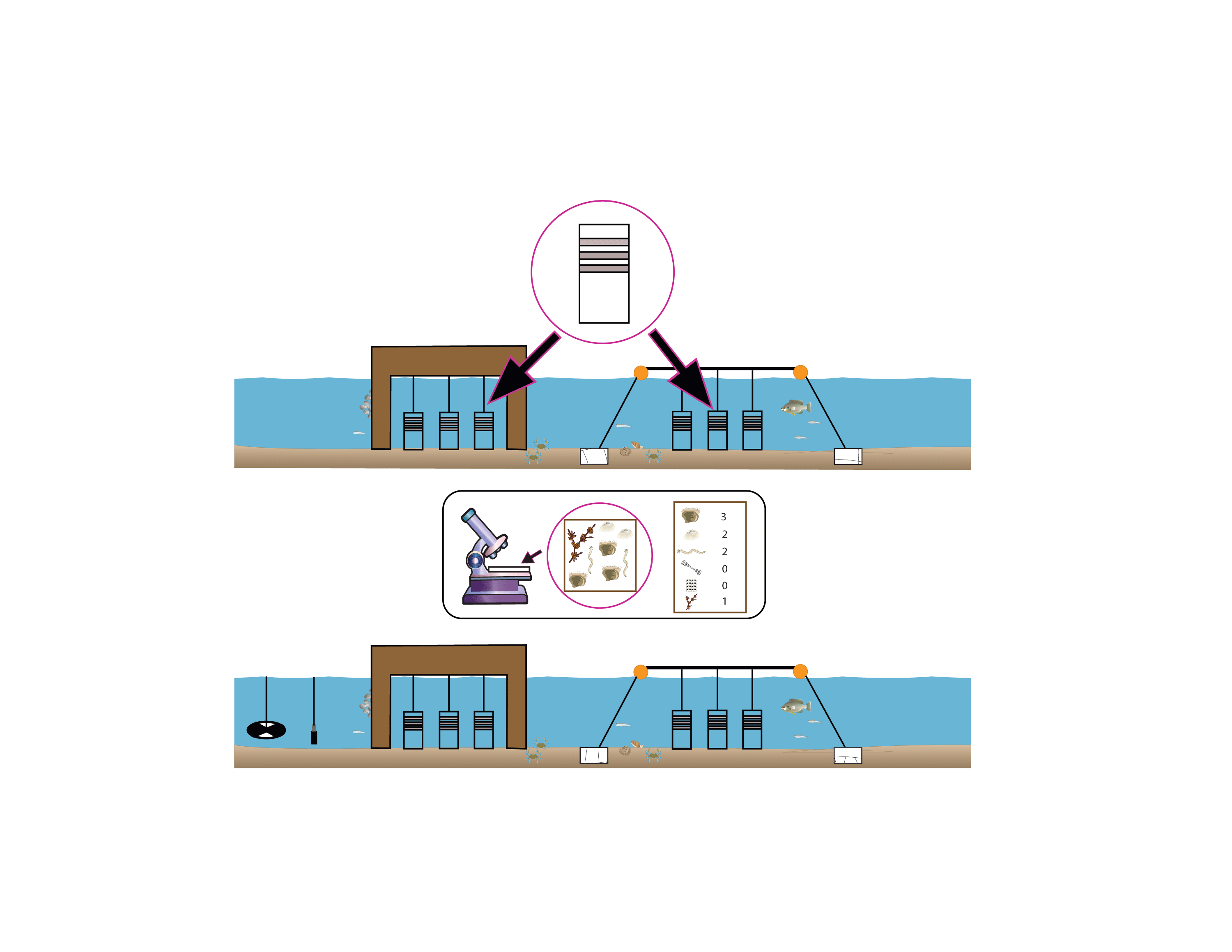 Two-bases_lab_simple_smaller_width3000.g