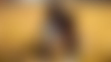 Three Dogs e Three Cats promovem adoção de pets com ONGS parceiras