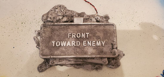 2021-09-27- 17 Tulips final 2 .jpg