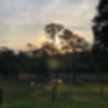Meandering Farm Afternoons.jpeg